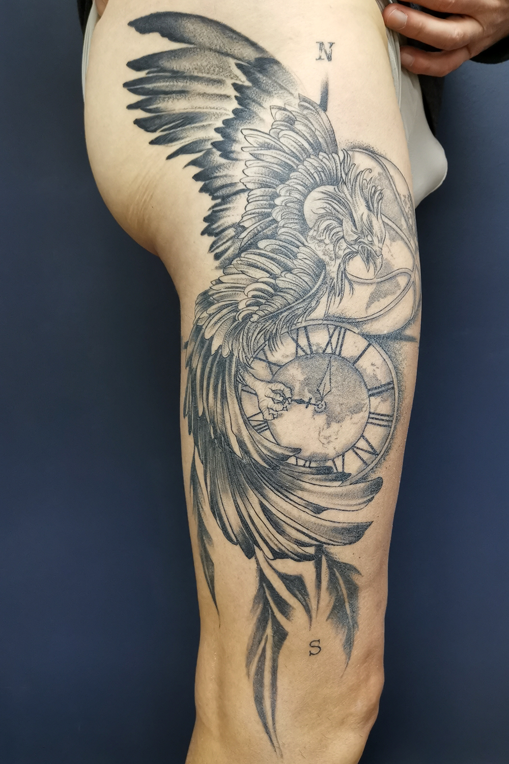 big_phoenix_healed