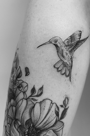 colibri