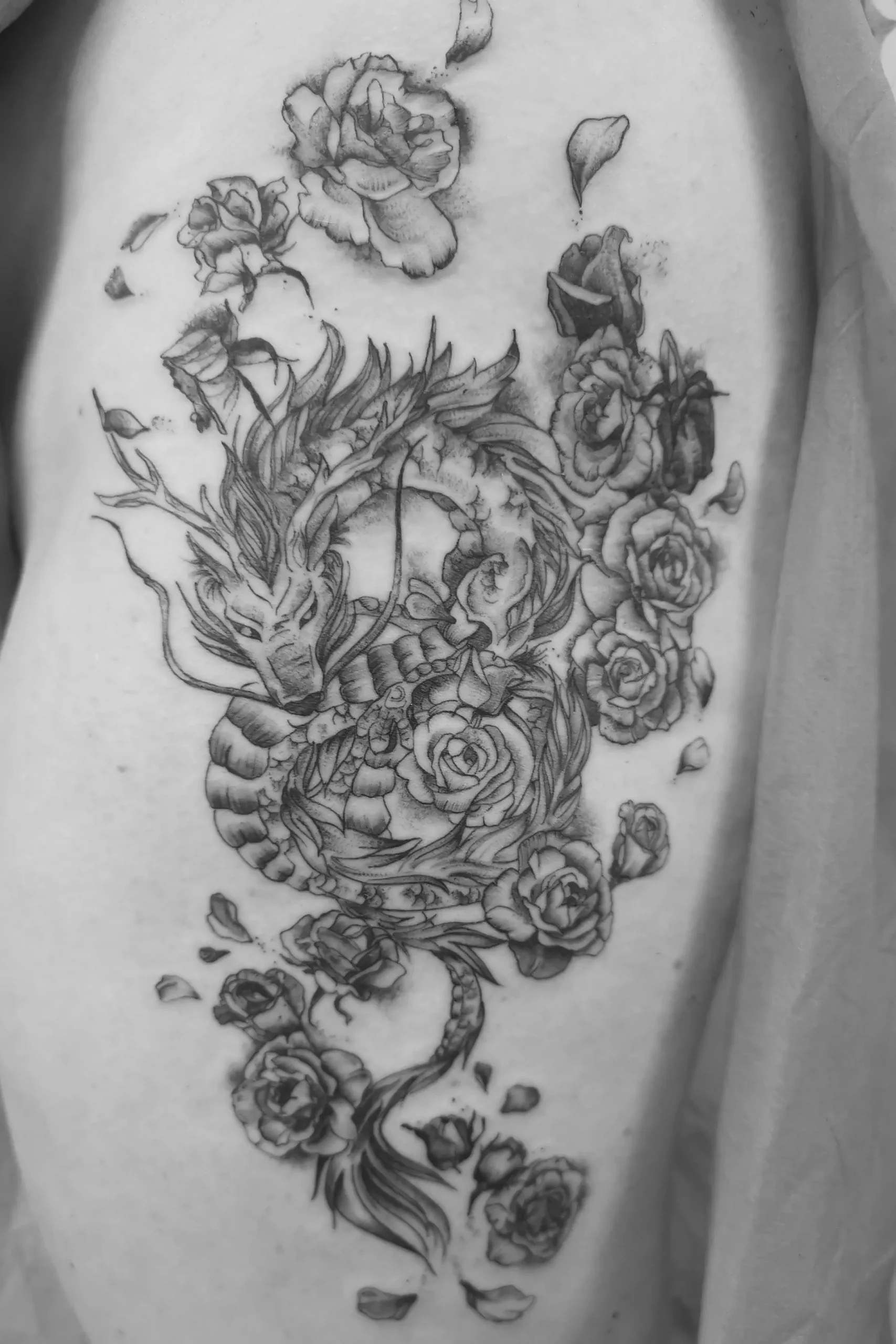 dragon_roses