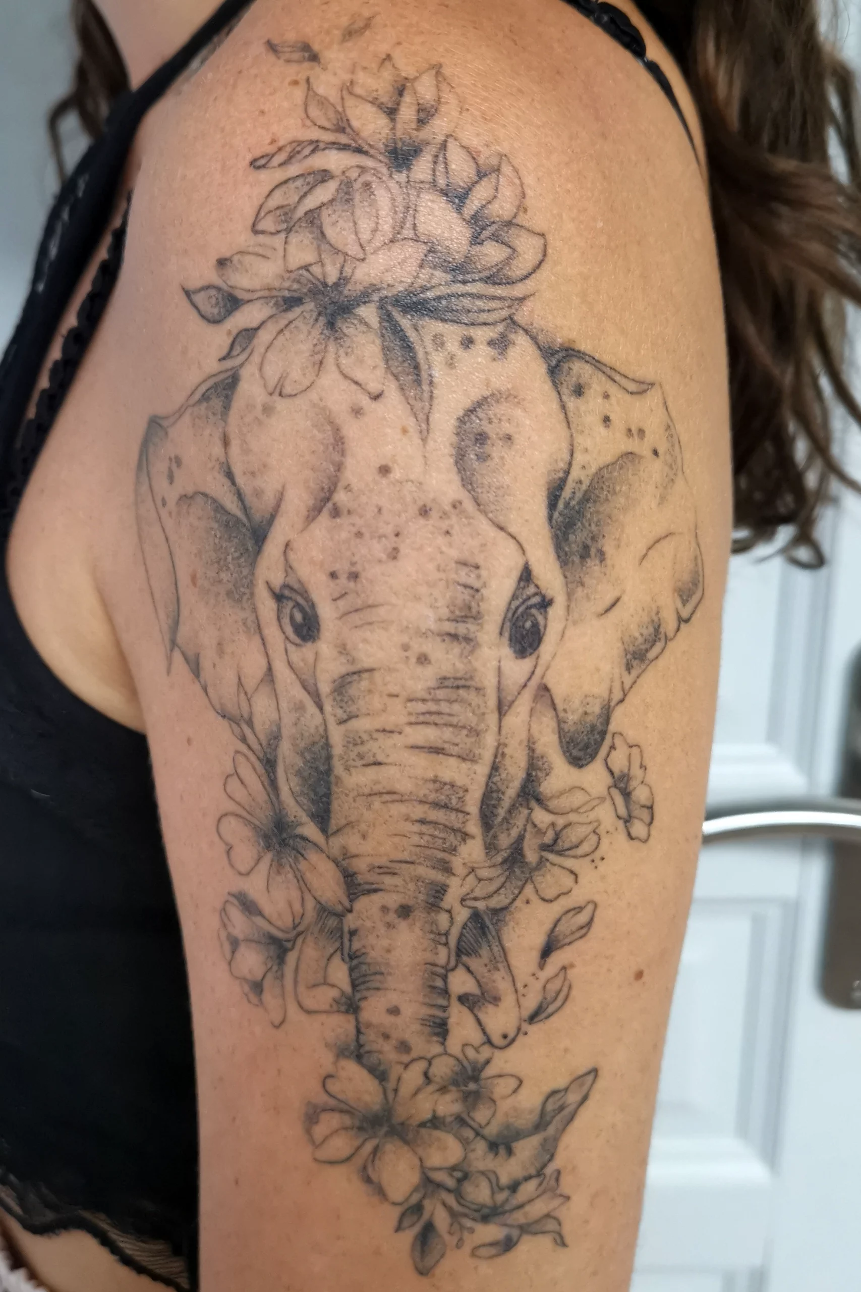 elephant_healed