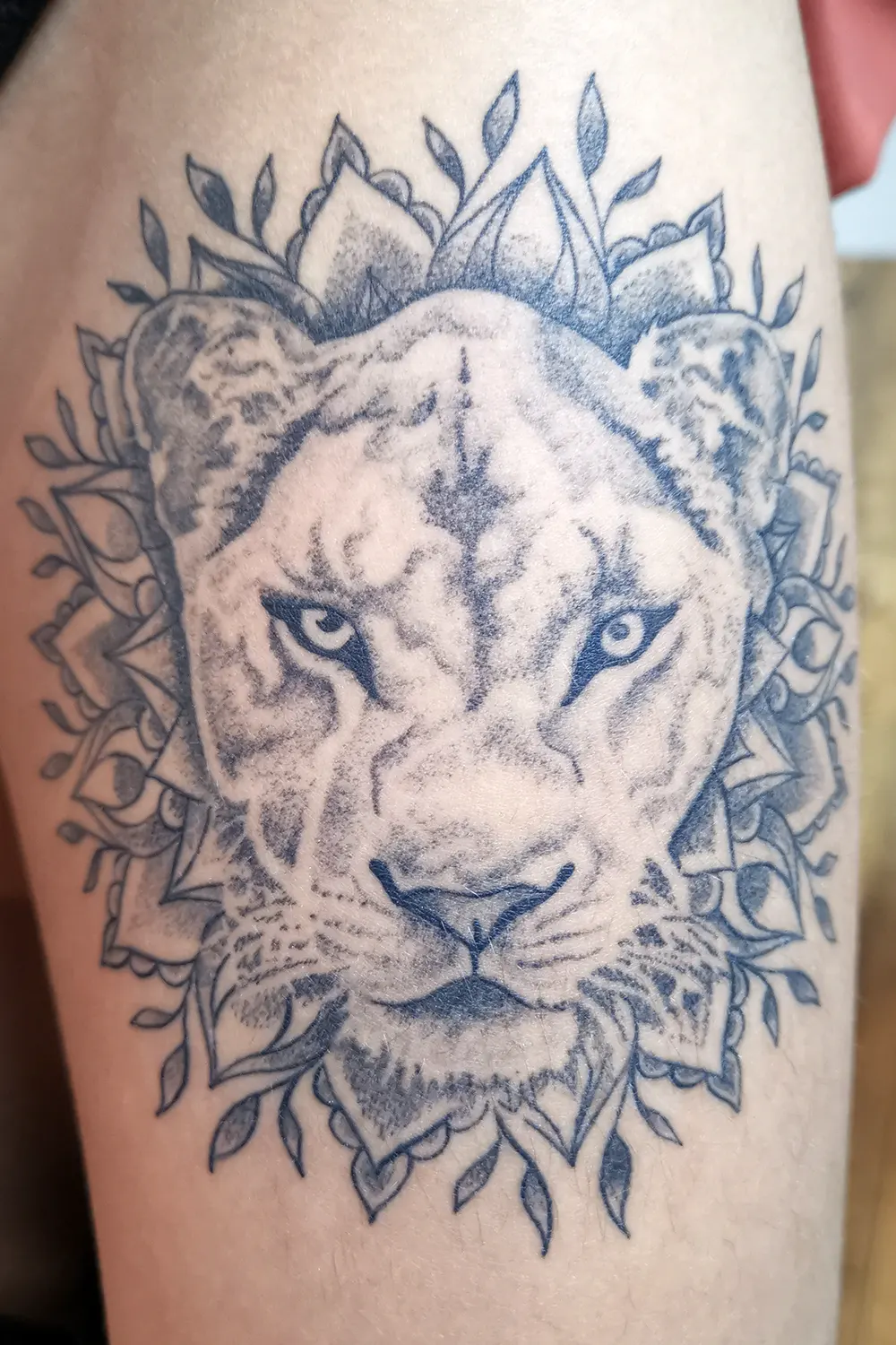 lionne_healed