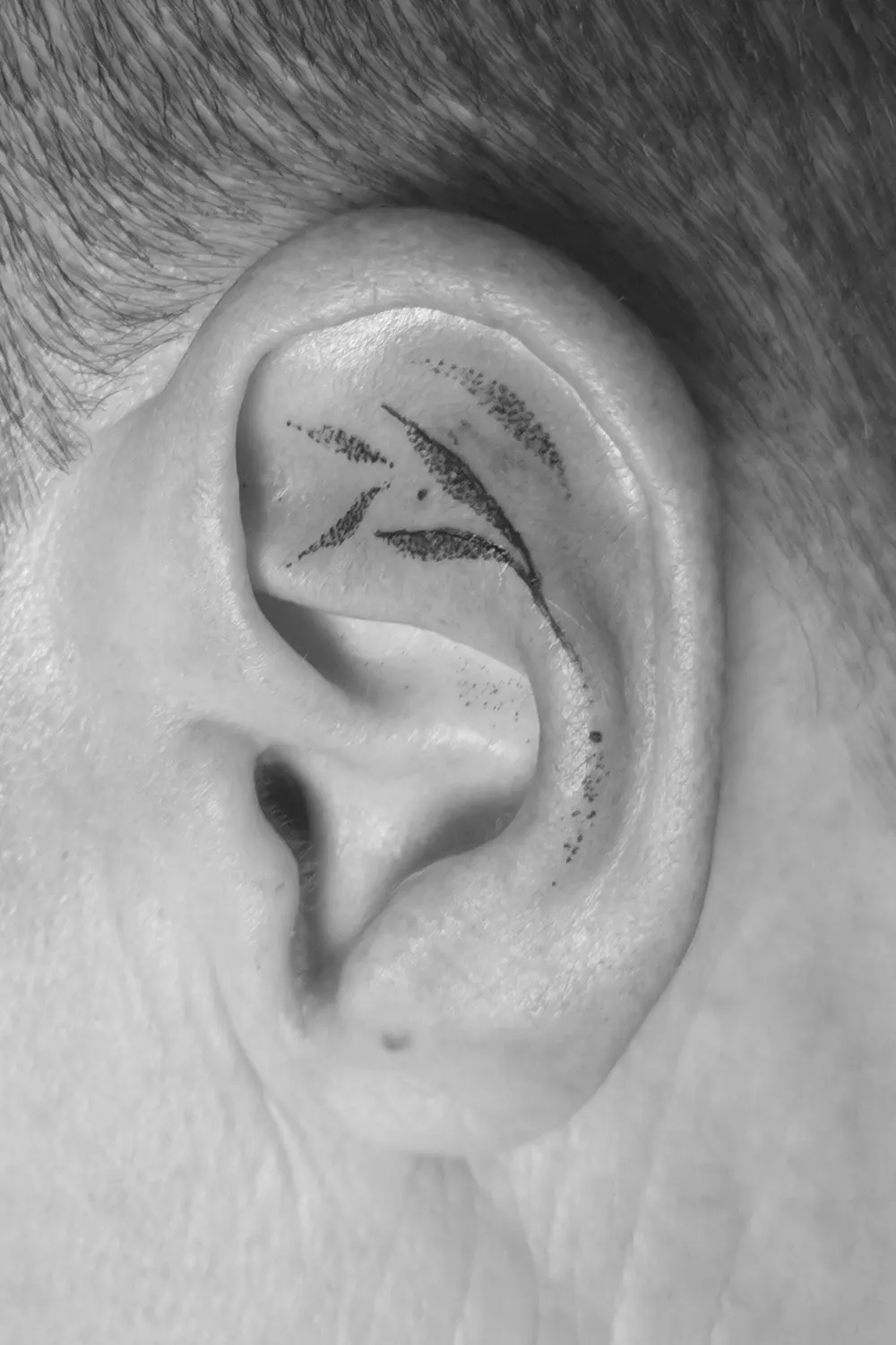 oreille charlotte