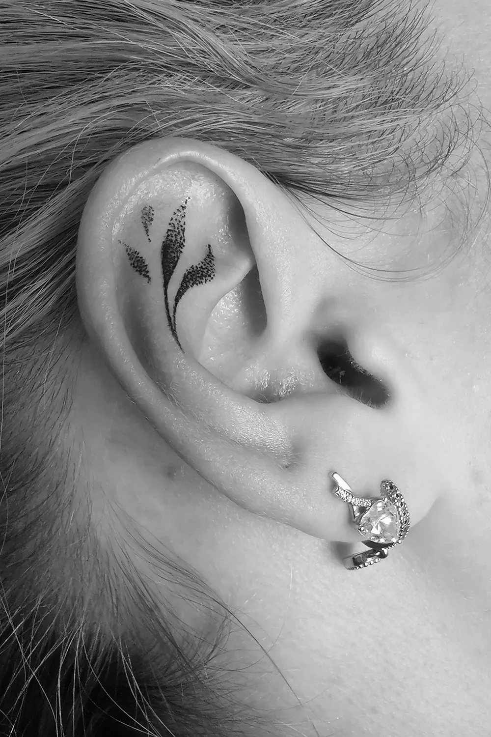 oreille_malicia