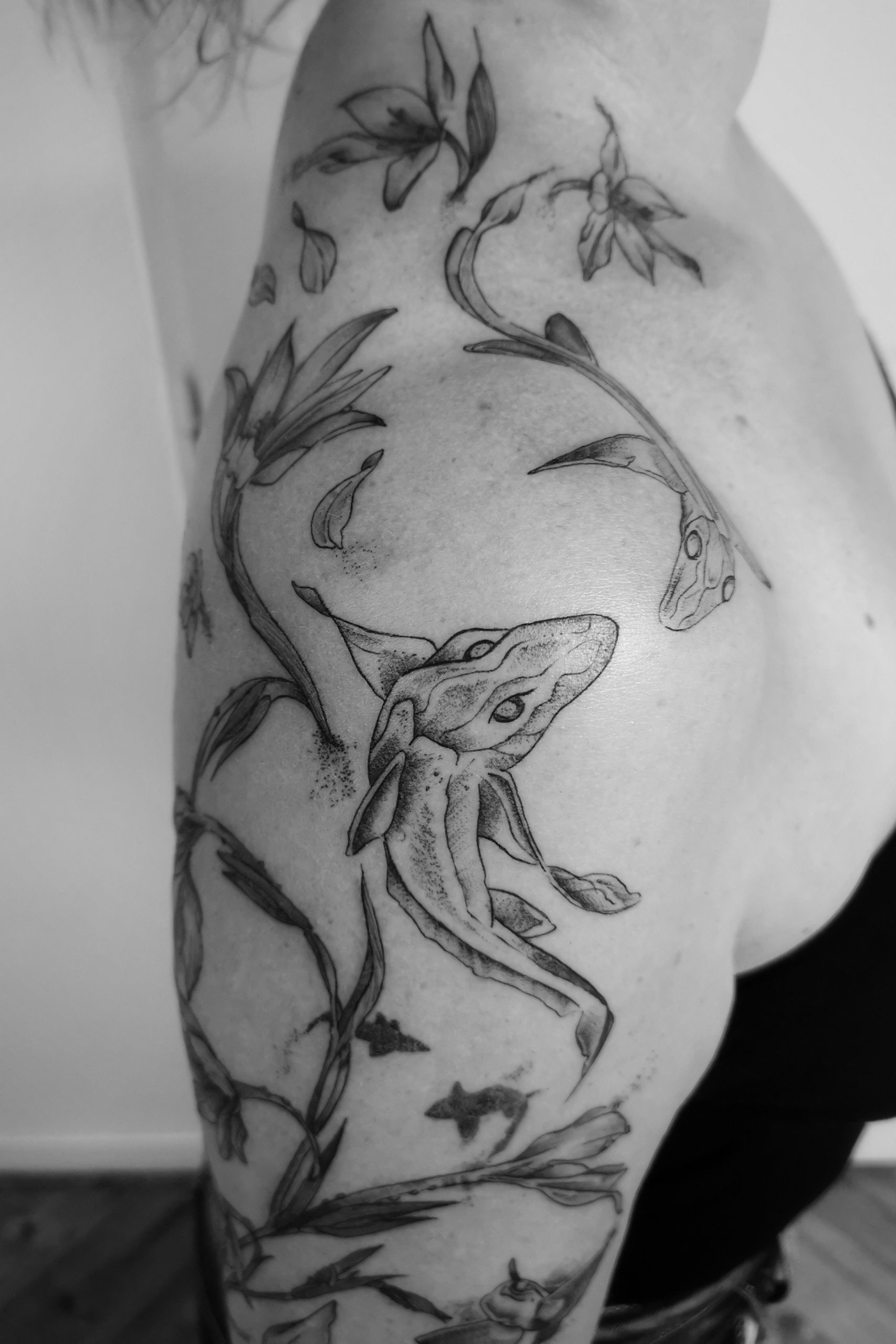 poisson_fantome_detail2