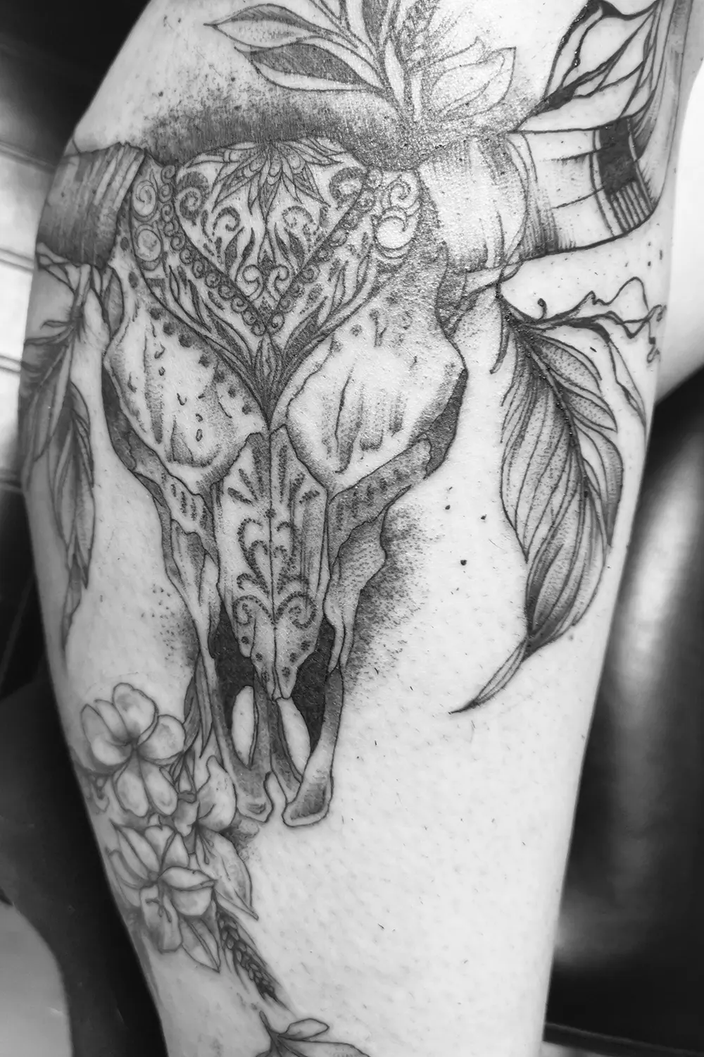 skull_cow