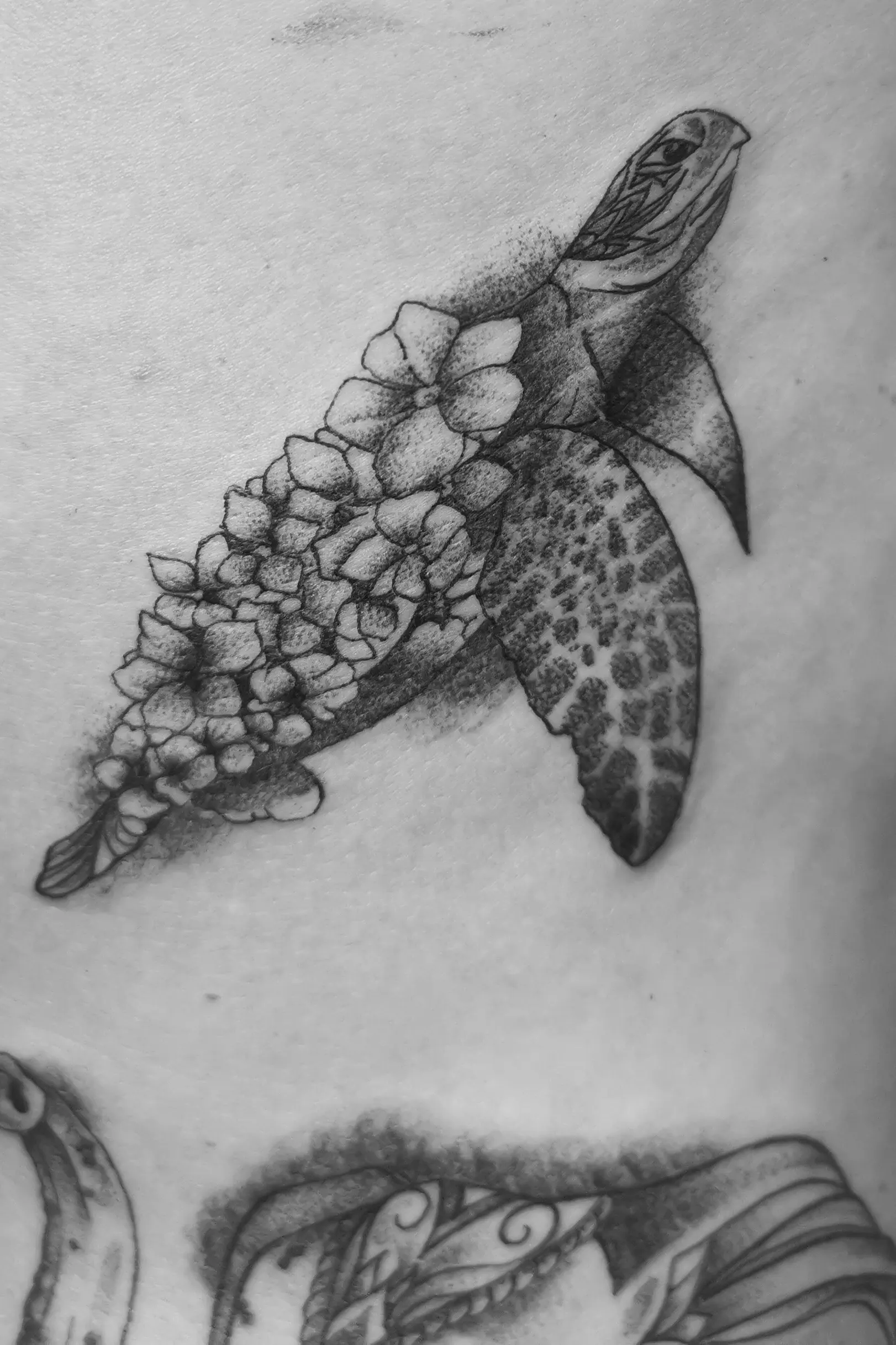 tortue_fleur