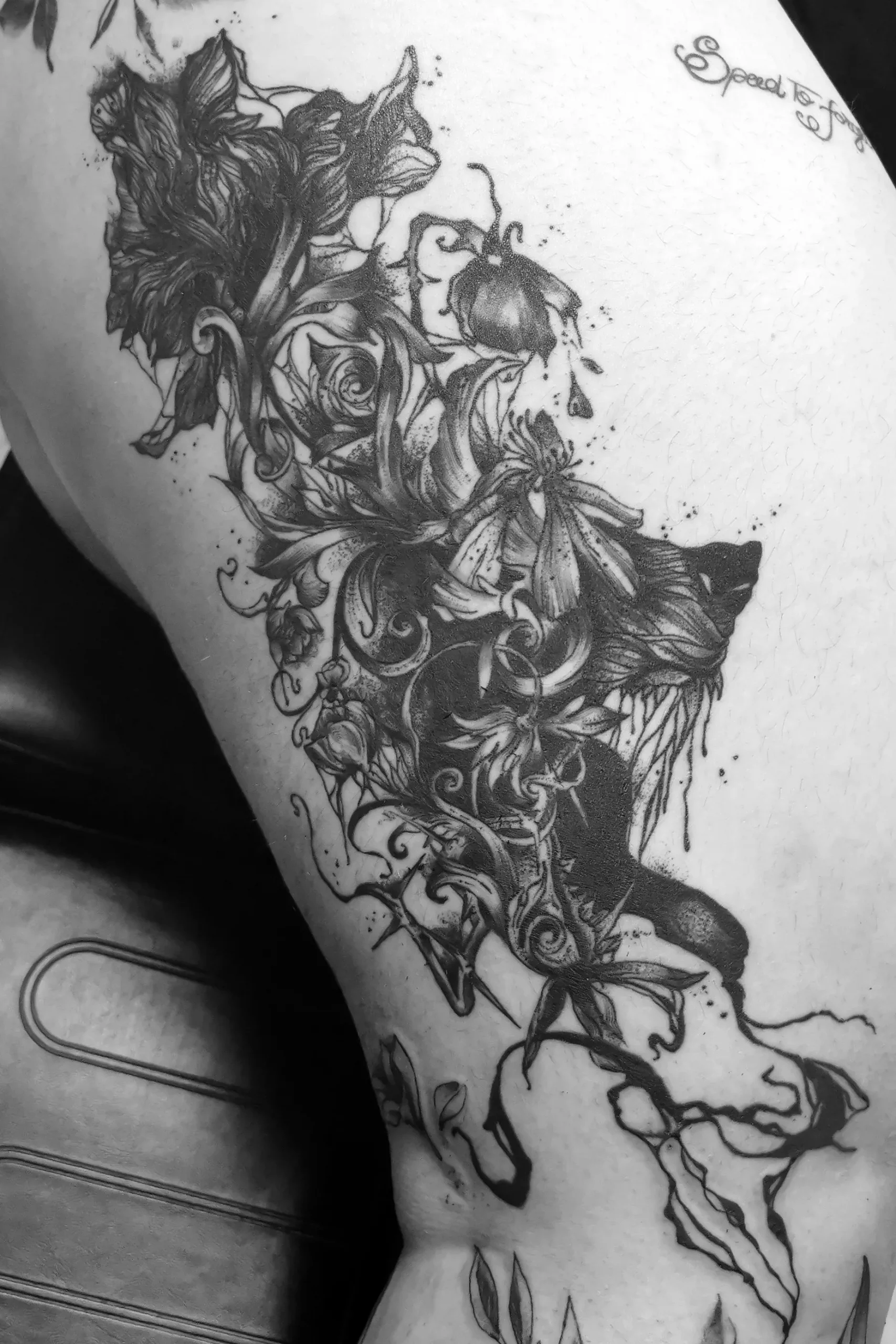 wolf_dark